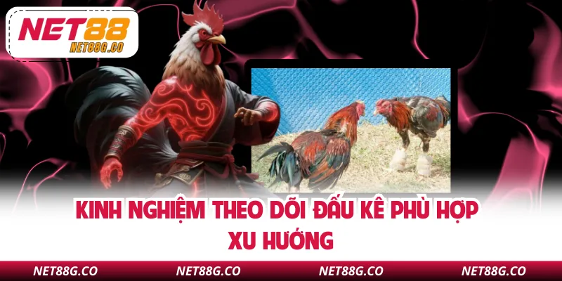 Kinh nghiệm theo dõi đấu kê phù hợp xu hướng