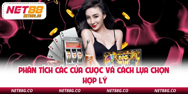 Phân tích các cửa cược và cách lựa chọn hợp lý