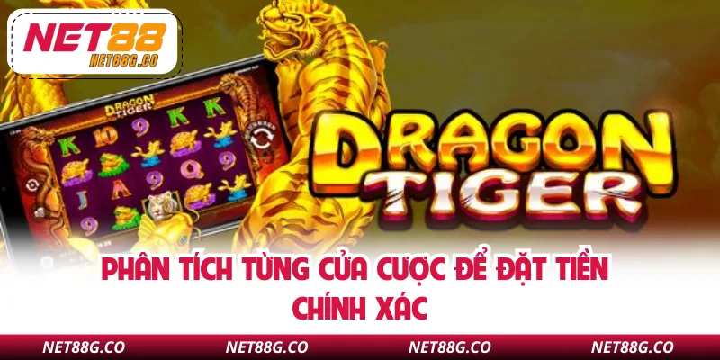 Phân tích từng cửa cược để đặt tiền chính xác