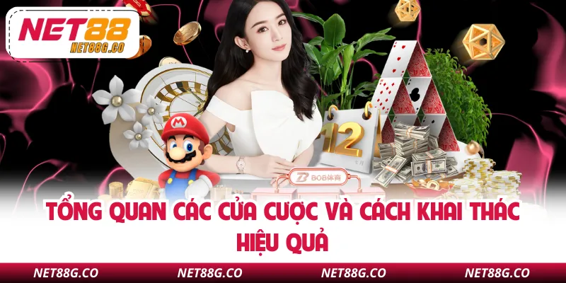 Tổng quan các cửa cược và cách khai thác hiệu quả